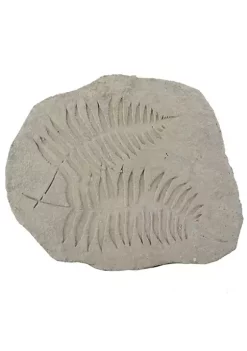 Outlet 🧨 A & B Home 15" Cement Gray Contemporary Style Fern Fossil Accent ✨