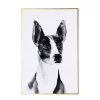 New 🔔 A & B Home Black and White 🐶 Dog Printed Rectangular Wall Art Decor 47" x 31.5" ✨ 1 New 🔔 A & B Home Black and White 🐶 Dog Printed Rectangular Wall Art Decor 47" x 31.5" ✨ -A & B Home Online Shop Belk 661