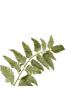 Promo โ A & B Home 60" Green and Brown Nature Inspired Fern Bush ๐ 8 Promo โ A & B Home 60" Green and Brown Nature Inspired Fern Bush ๐ -A & B Home Online Shop Belk 993