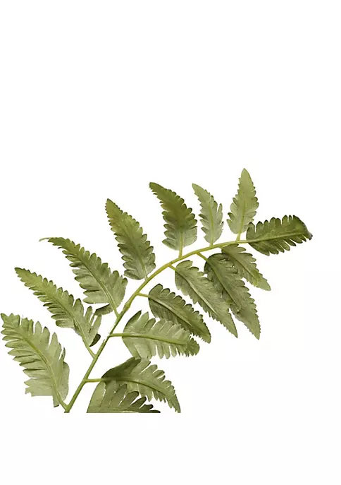 Promo โ A & B Home 60" Green and Brown Nature Inspired Fern Bush ๐ 5 Promo โ A & B Home 60" Green and Brown Nature Inspired Fern Bush ๐ - Image 3